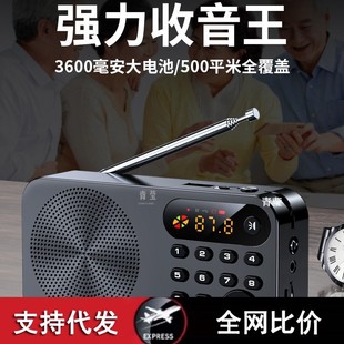 Radio for the elderly elderly new portable small mini portable semiconductor multi-function rechargeable