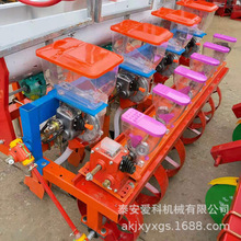 [NC[NC݆܇ScCëtNֲC