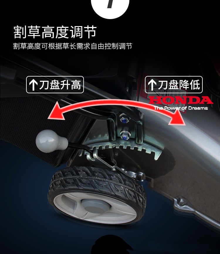 详情图6