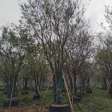 �Ә丣�����ݻ��؈�r�Ә��؏�15-45�����Ә�