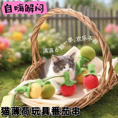 猫玩具番茄串逗猫棒耐咬柿子串猫咪玩具自嗨解闷神器带铃铛逗猫玩