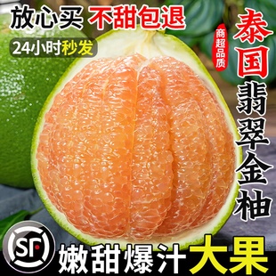 ����̩����������Ƥ�t���ִ�������f�S�C�����ЋD���rˮ������