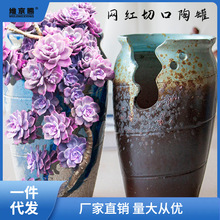 ӭ���пڶ��⻨��ȱ�ڴ��ն���ֲ����ɰ�մ��ش��չ޷�ʦС��ӭ��