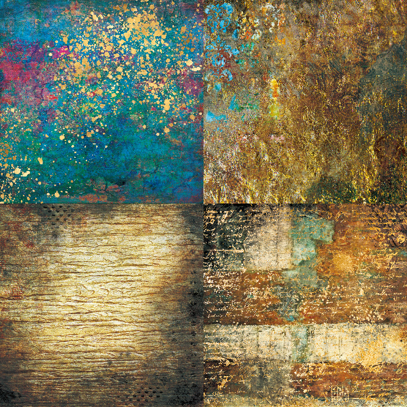 21006 迷失森林 内页1_画板 1