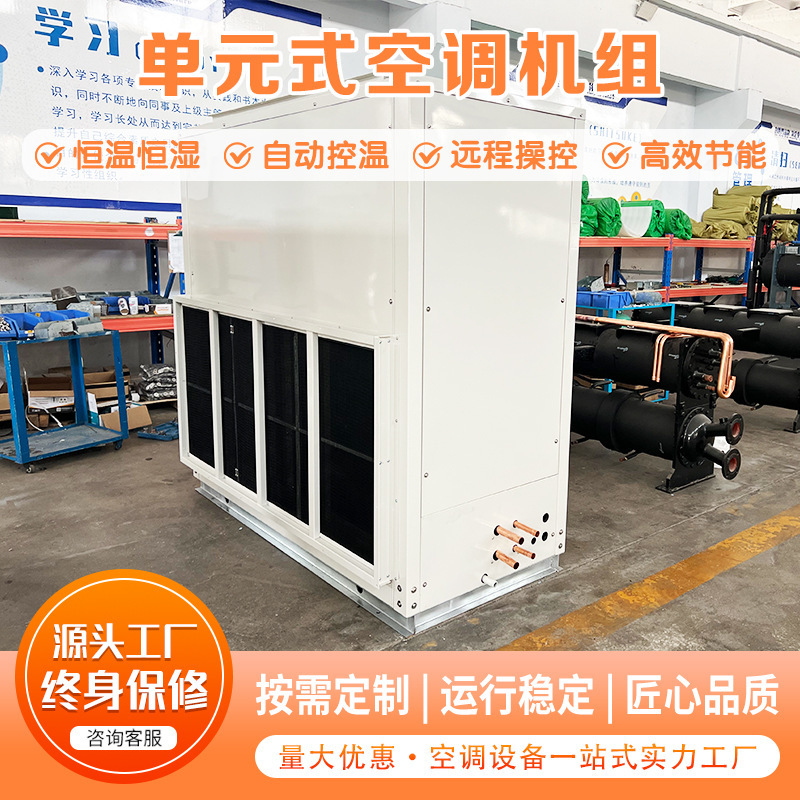 Unit-Type Direct Expansion Constant Temperature and Humidity Air Conditioning System, Fresh Air Ventilation Integrated Machine, Workshop Purification Air Conditioning System