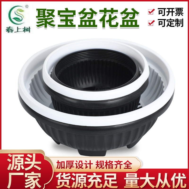 Cornucopia Flower Pot Fleshy Plant Base Flower Pot Plastic Pot Round Sedum Pot Shallow Mouth Flower Pot Flower Pot