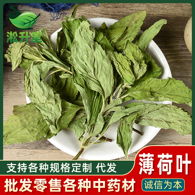 Wholesale Chinese Medicinal Mint Leaf Base, Direct Supply of Dried Mint Leaves, New Goods, Tea-Making Mint Granules, Bulk Dropshipping