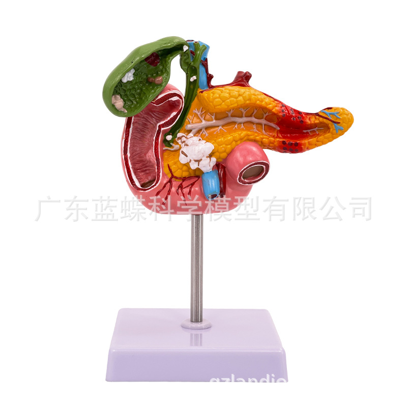 ��ѧ������������ʮ��ָ�����Ҳ���ģ�� ����ʯ�������ϵͳ�̾�