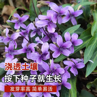 �����ϻ��ض��N���ͺ�����ꎶ��������N�ļ����ѻ��ض��ϻ�����