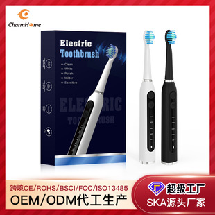Cross-Border Sonic Electric Toothbrush Source Classy Custom Oem Factory Soft-Bristle Magnetic Levitation Adult Model Charging Model