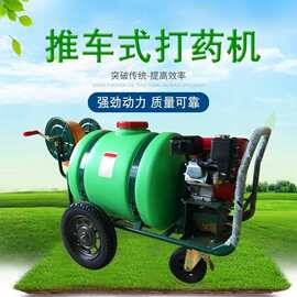 手推式大容量打药车蔬菜大棚喷雾器农用植保机械出口非洲东南亚