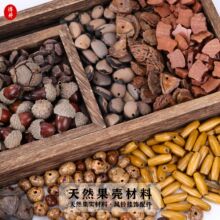 天然植物果壳种子材料按斤手工diy手摇铃风铃干果果实材料包批发