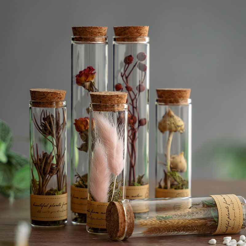 Glass test tubes containing dried flowers, preserved flowers, plant specimens, creative holiday gifts, home decorations, and gifts for teachers, best friends, and friends.