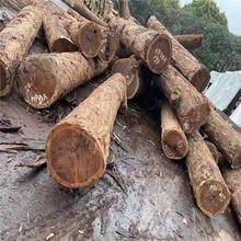 �M�ڼt�F��ԭľ��� ��ľ�Ҿ��ϵ�̹�ˇƷ�ϻ��y���� �|�Ǽt��֦