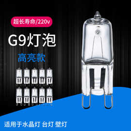 远近灯g9灯泡插脚白色卤素灯泡香薰灯货车钨丝灯吊灯烤箱远垒德株