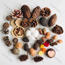 ɹֹdiyľξƵꄓ֧֦lƹܛb˱