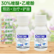 �������׷������Ѿ����߲˹��仨�ܲ�ݮ���������S�ϰ׷۲�������