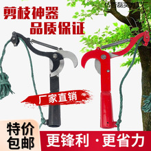 ��֦���K�Ӹ�֦����ժ�����߿ռ����^��֦�����߿���֦����