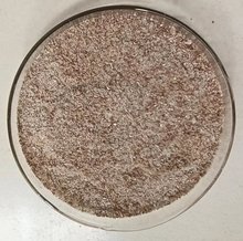 �ݲ�ѿ�ߗU�����B���m���Bֳ�S��ϏS��ˮ̎��S�ݲ�ѿ�ߗU��