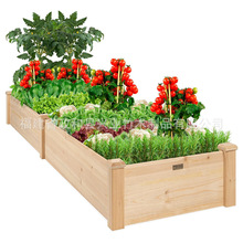 ����ľ�������ͥԺ�N���䌍ľ�̨�Nֲ���������̖����