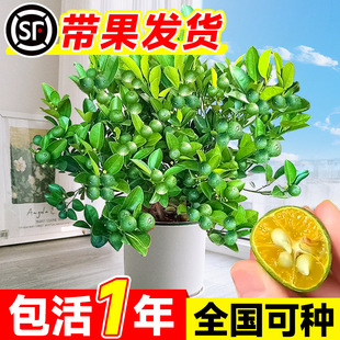 С�������纣��С��۽�ۘ���ˮ���ʘ����Ԏ���ͥԺ�̨�������