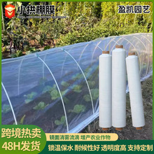 小拱棚膜农用加厚塑料膜透明保温保湿防霜冻种菜育苗防寒遮盖防水