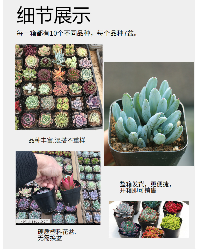 e66ba468ae214bb38ba24ce245caa5