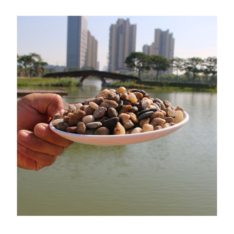 10-20cm��Ű�ɫ����ʯ����ɽˮ���쾰ר����ȻԲ����·ʯ