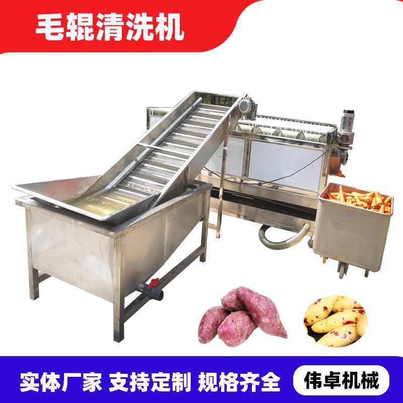 洋芋清洗去皮机土豆毛辊清洗处理设备大姜清洗机