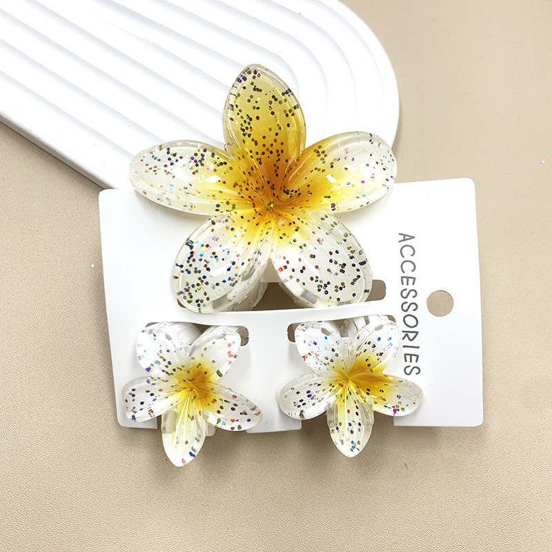 96g Weight Hair Claws Hair Accessories Type 1 Set Quantity Daily Occasion Plastic, Resin Material Plumeria Pattern All Seasons Season Women's Gender Stoving Varnish Design Cute Style Cute Women's Plumeria Plastic Resin Stoving Varnish Hair Claws 23