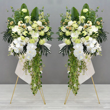 �_�I���@�ٻ������w�c��ӭ�e�b[���̈���䁙��������ػ��Gɫ