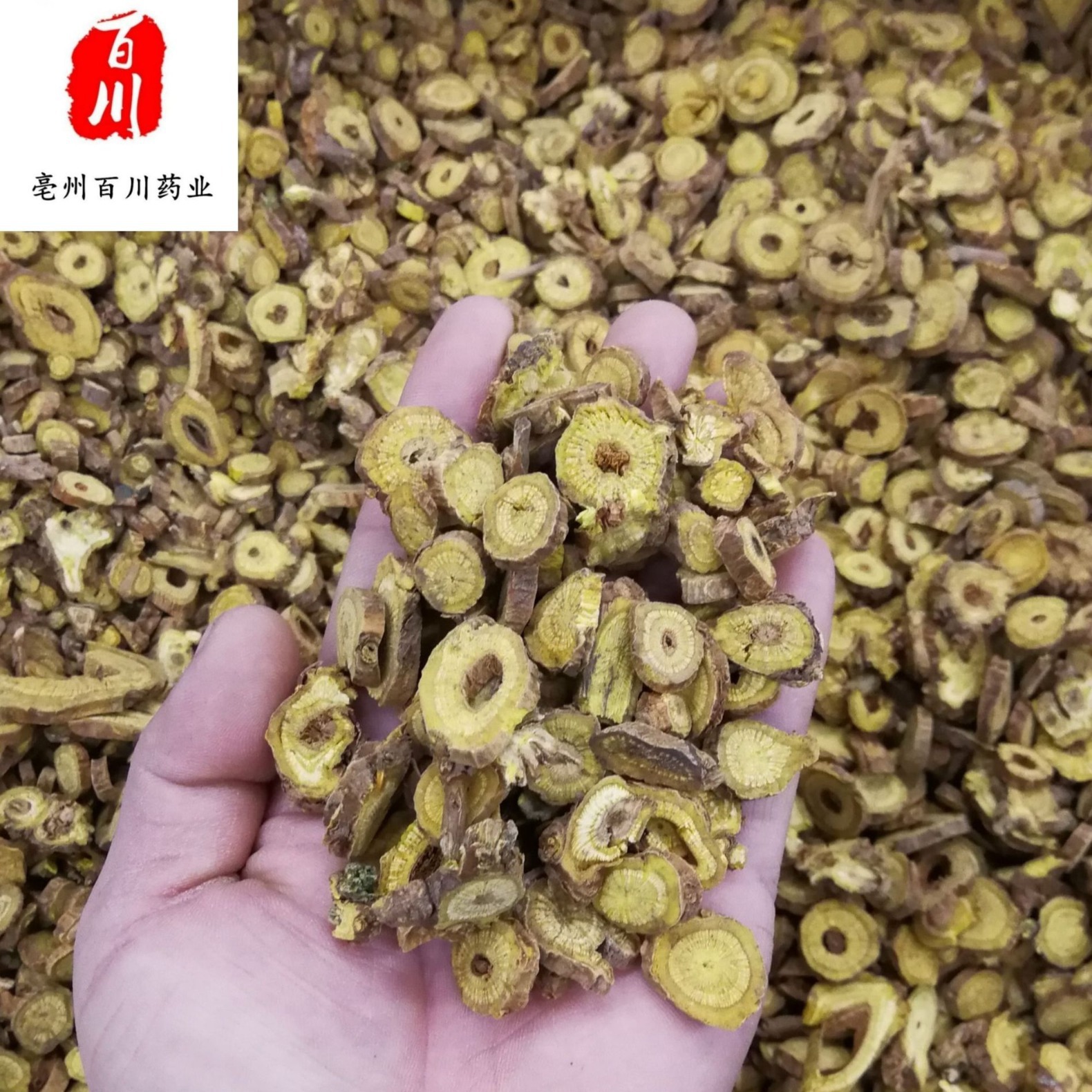Scutellaria Baicalensis Chinese Medicinal Material Scutellaria Baicalensis Wholesale Kuqin Inner Mongolia Shanxi Scutellaria Baicalensis Quality Assurance Unconditional Return Within 15 Days