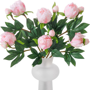 1��1����ș���滨 �ҾӲ͏d�b[���zӰ������ș�羳�ٻ�
