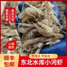 李芹活鱼新鲜淡水小河虾东北河虾鲜活速冻新鲜小虾湖虾补钙佳品