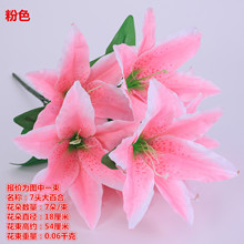 �F؛���l�bٻ� �羳����7�^�ٺϻ����� С���m������c���̻�