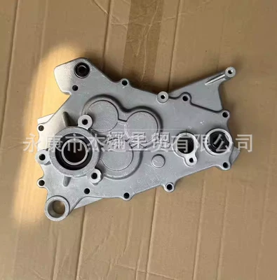 Motorcycle engine and accessories: 150-200Cc Jinglong Gy6 - transmission-cover-balance-shaft-type-type-b