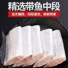 东海带鱼段大段带鱼段小眼带鱼刀鱼海鲜水产银鱼袋装冷冻水产批发