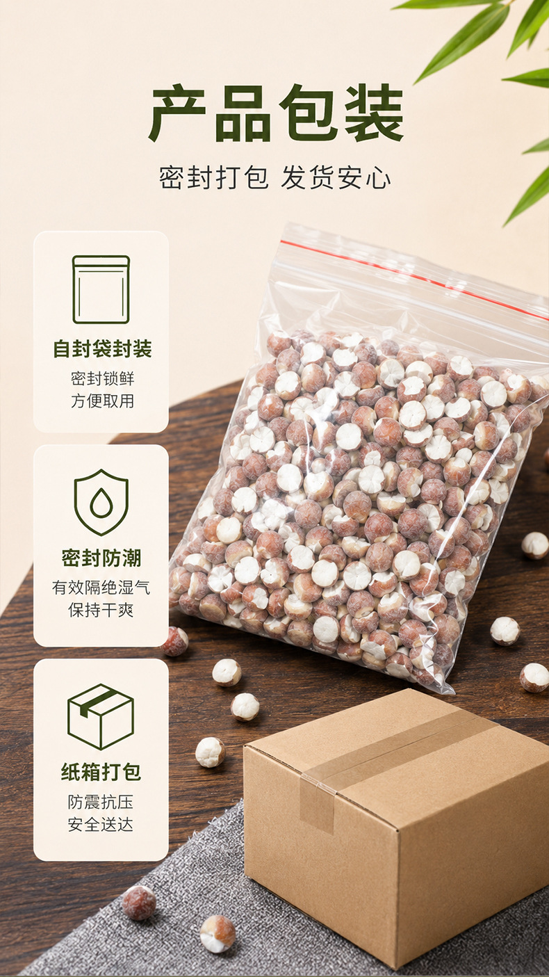 Organic Dried Gorgon Fruit Qian Shi 12mm Large Granules 500g Premium Red Skin Euryale Seeds in use