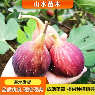 �o��������������Բ����t�ļ�ͥԺ�̨�����ϱ����Nֲ�o������