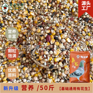 �n�����Z  ������ �I�B50�� ���A�л�����������ʳ