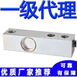 laumas传感器FTP-750Kg FTP-1t FTP-1.2t  1.5t 意大利称重传感器