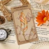 The feathers of the sun