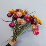 天然家居混色宝石永生花