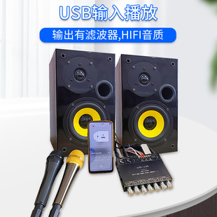 YS-AM100 KTV high-power Bluetooth amplifier board microphone audio integrated machine 2.1 channel TPA3116D2