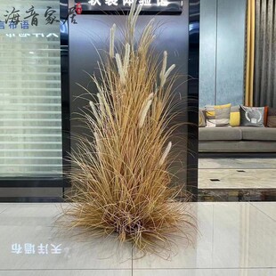 �Ѳ��JȔ�����w�Gɫ�ݶ�Ƶ��̈��������^Ұ�݅��ݶ�ůɫ�ݲ�