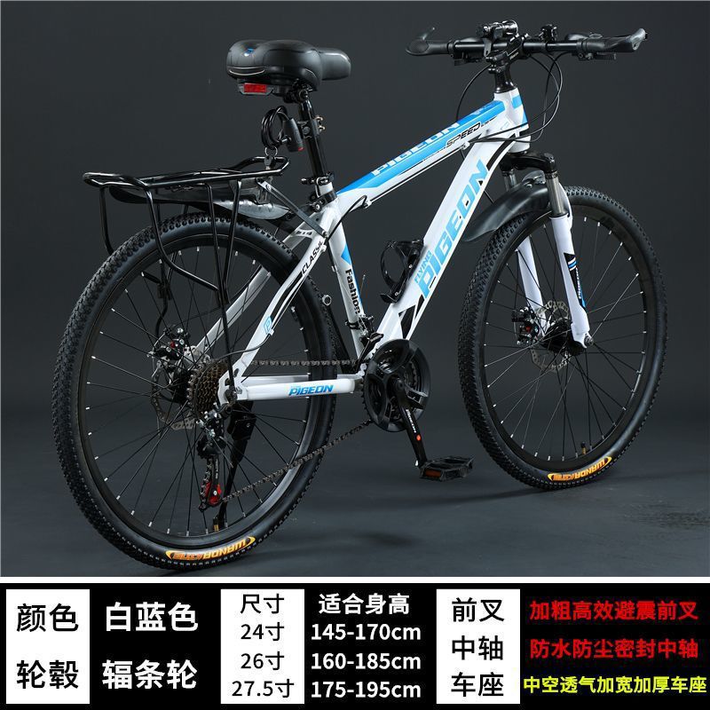 Steel frame version - white and blue - flagship version [spoke wheel]