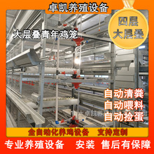 大层叠蛋鸡笼青年鸡笼自动化雏鸡笼喂料清粪捡蛋自动化机械可定制