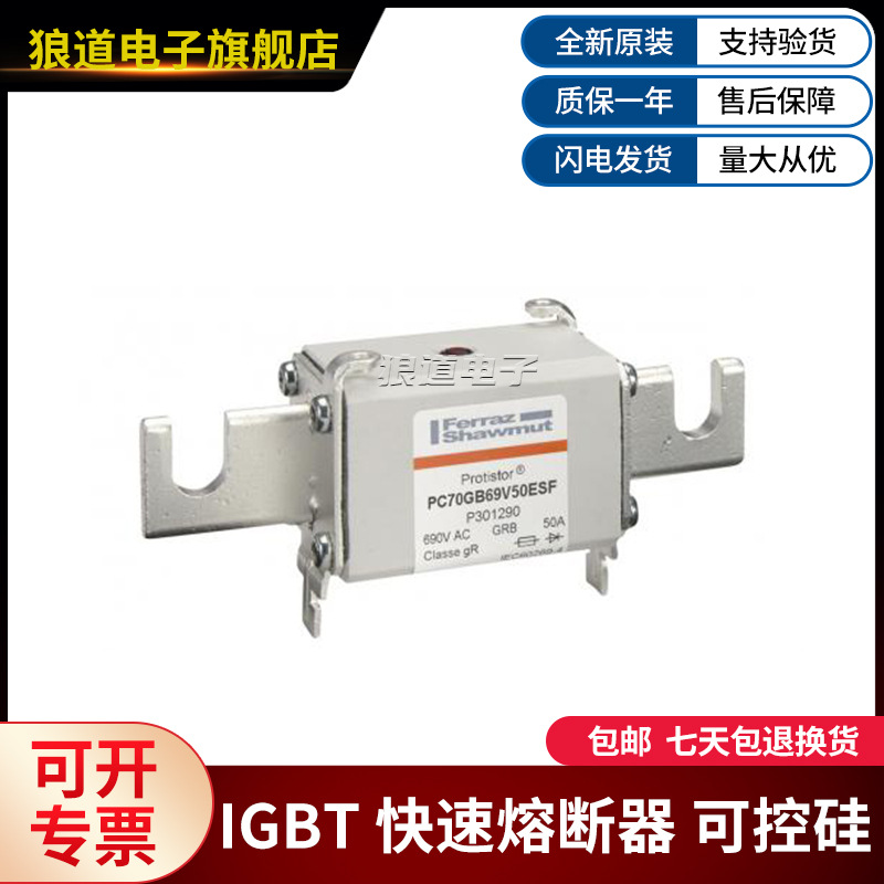 PC70GB69V50ESF-P301290 PC70GB69V63ESF-Q301291罗兰快速熔断器