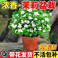 ���������Ԏ������������Ϙ����ˮ���d�ӻ��ܾGֲ���҃��ļ��_