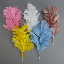 �S�����l��ë�F�z����Ȼ�Zëdiy�Ʒ�����ë��ñ���^��ػ��b�